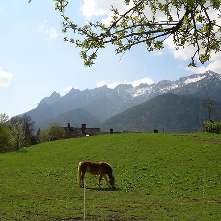 Bachbauernhof Apartment Bayerisch Gmain Bagian luar foto