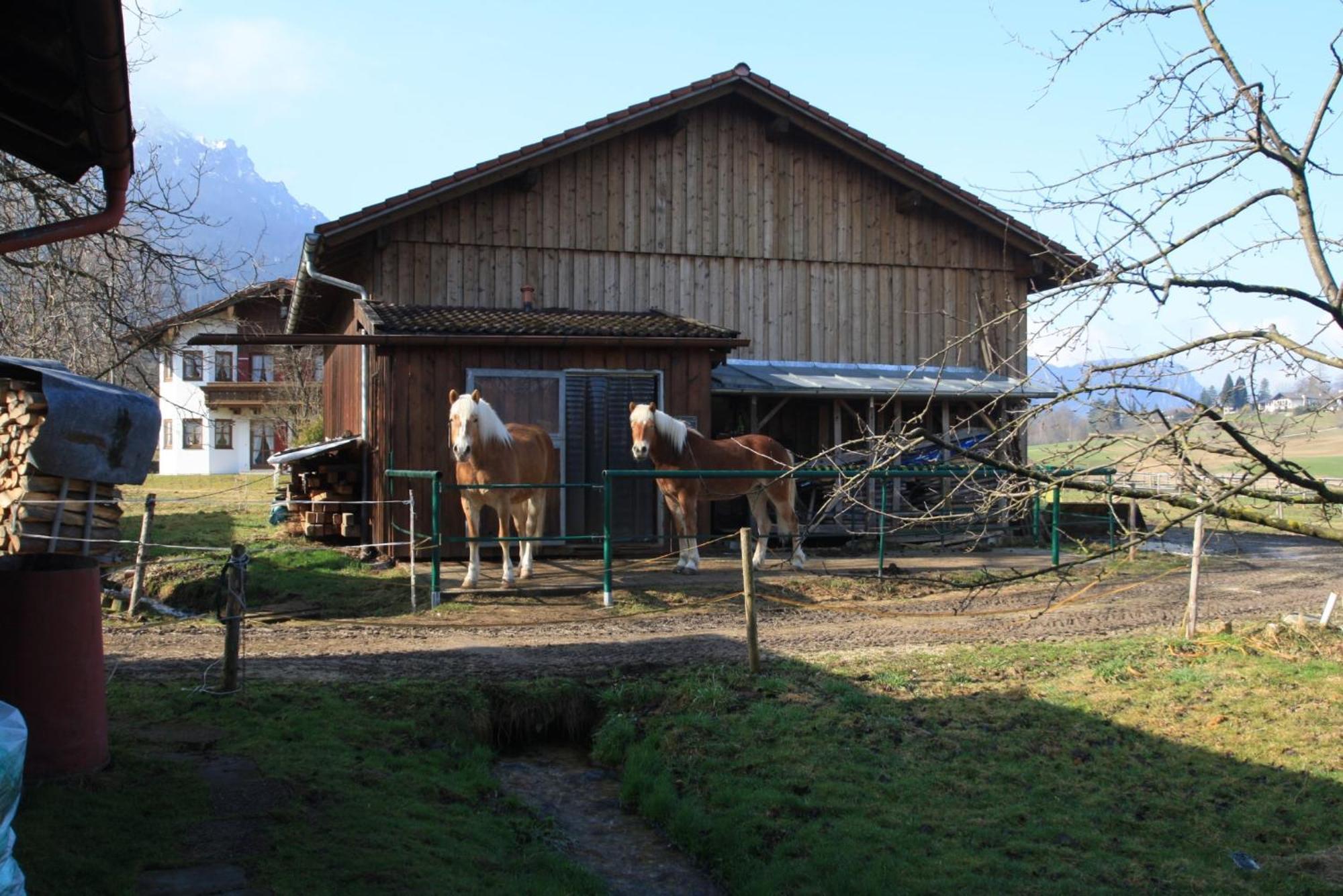 Bachbauernhof Apartment Bayerisch Gmain Bagian luar foto