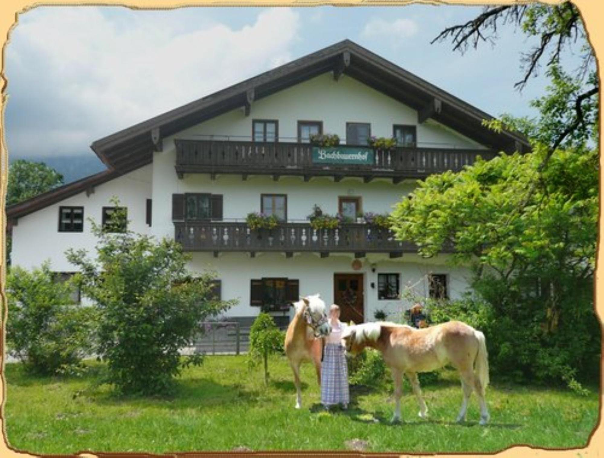 Bachbauernhof Apartment Bayerisch Gmain Bagian luar foto